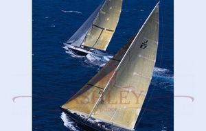 1057-Sailing-Race-270-186 Rafael Rafael_1  
