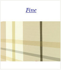    - Fine